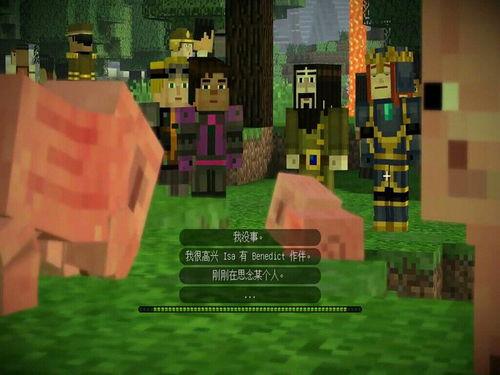 我的世界仔岷视频